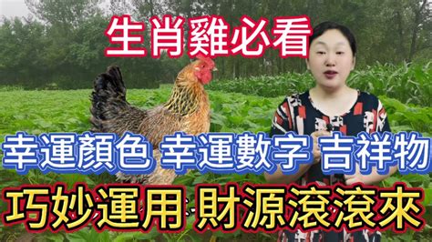 屬雞的顏色|屬雞必看：幸運色改變你命運